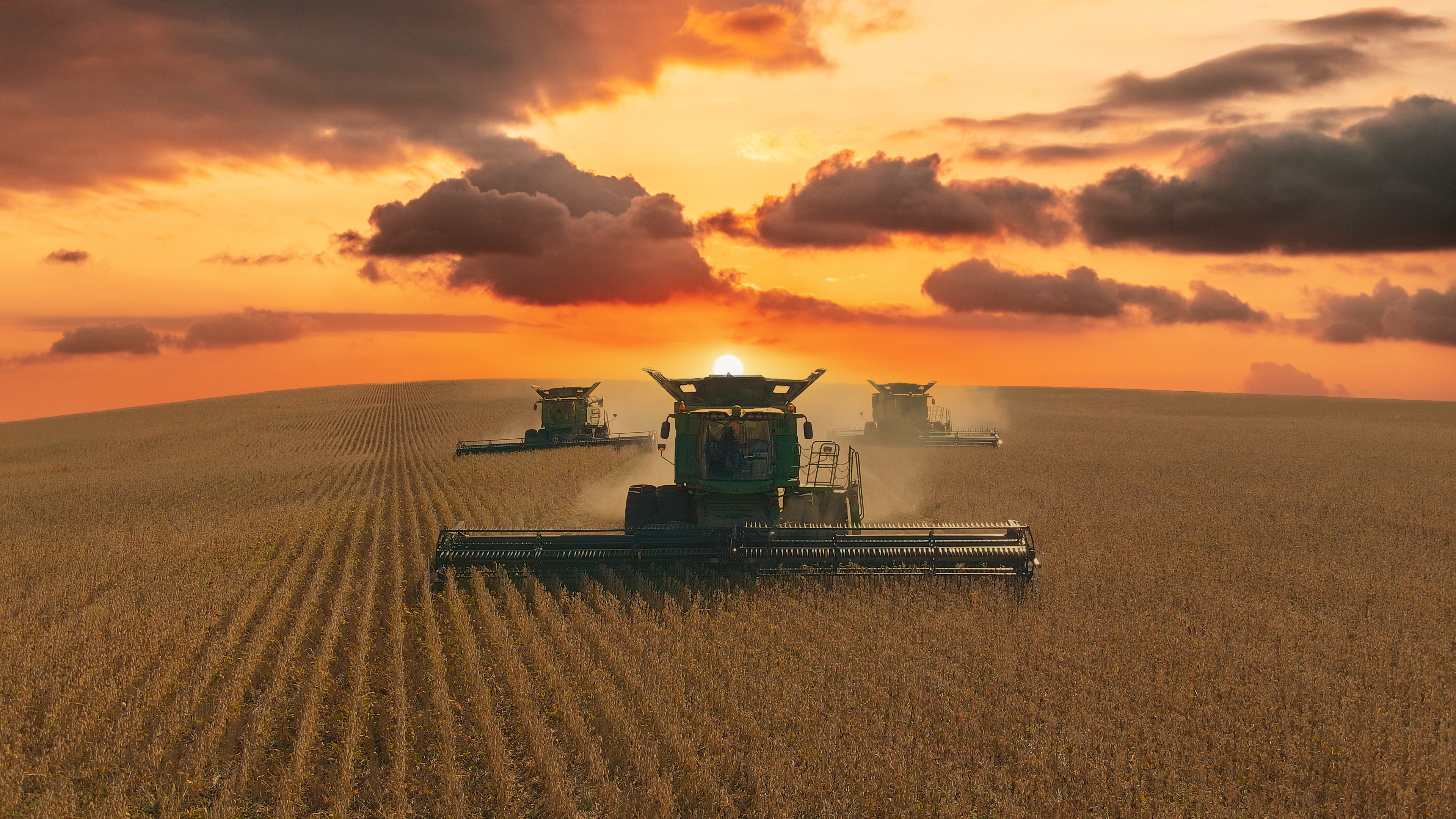 Three combines harvesting wheat on the Great Plains